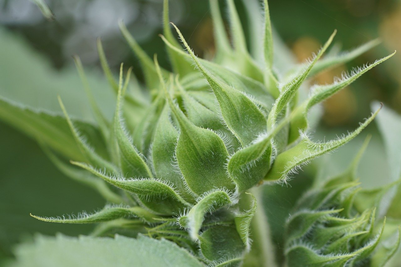 Transitioning to a Green Economy: Challenges and Opportunities